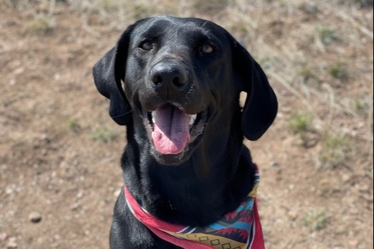 c82b56e2 bf07 436f 9b1c 7a58aa82d153 c82b56e2 bf07 436f 9b1c 7a58aa82d153